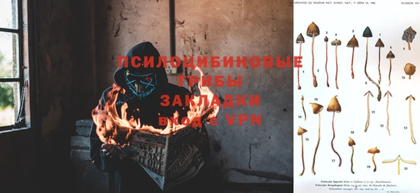 гашик Гусиноозёрск