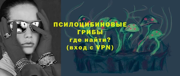 гашик Гусиноозёрск