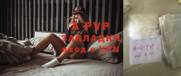 гашик Гусиноозёрск