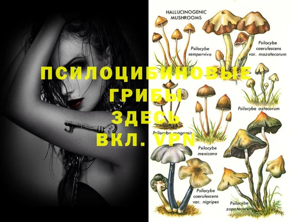 гашик Гусиноозёрск