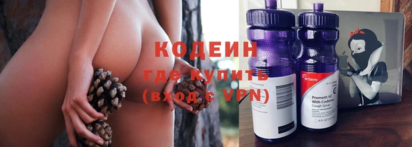 молекула духа Ветлуга