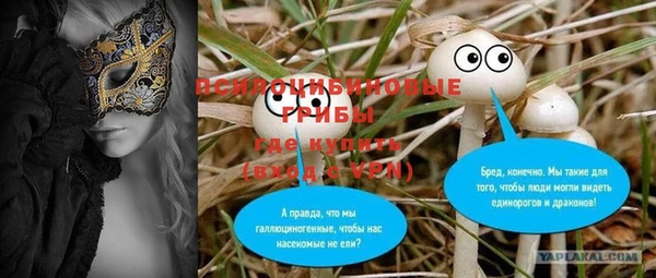 соль курить ск Гусь-Хрустальный